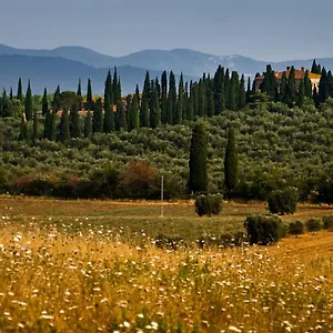 Tenuta Di Poggio Cavallo Istia d'Ombrone